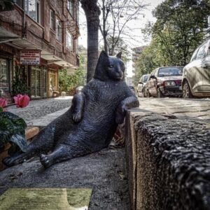 Cape Town & Safari — 9 Days