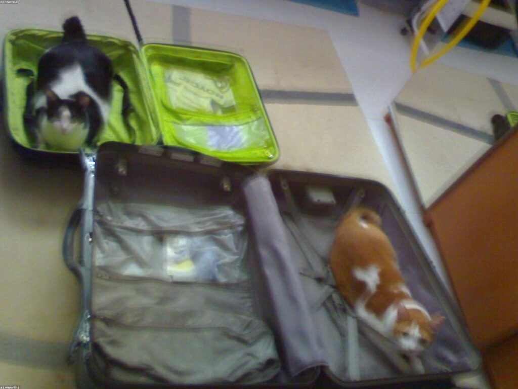 Packing Light: A Carry On Only Checklist